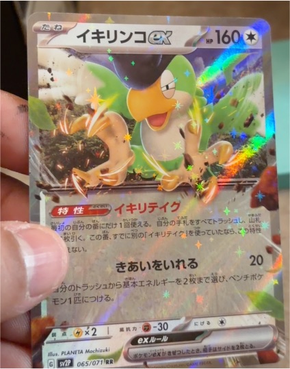 2023 Pokémon #065 Squawkabilly ex — front