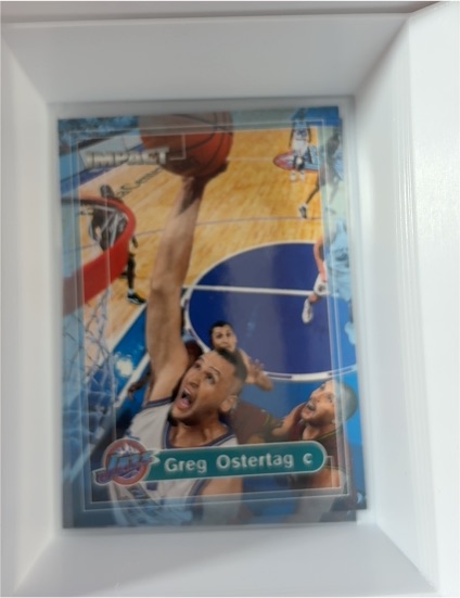 1999-00 SkyBox Impact #129 Greg Ostertag — front