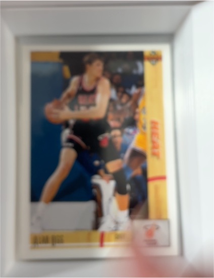 1991-92 Upper Deck #198 Alan Ogg — front