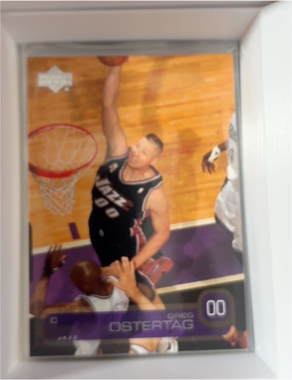 2002-03 Upper Deck #172 Greg Ostertag — front