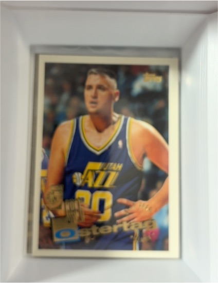 1995-96 Topps #207 Greg Ostertag — front
