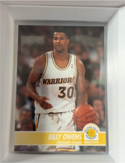1994-95 NBA Hoops #69 Billy Owens — front