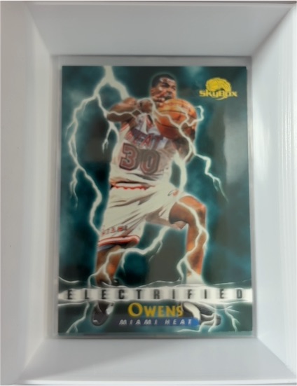 1995-96 Skybox Premium #288 Billy Owens Electrified — front