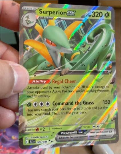 2025 Pokemon Black Bolt Serperior ex 003/086 — front