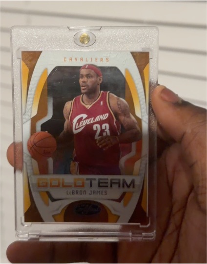 2009-10 Panini Certified #10 LeBron James Gold Team — front