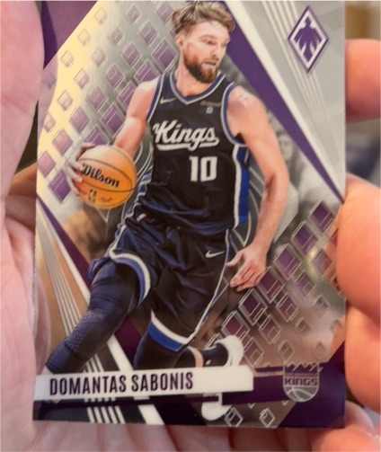 2023-24 Panini Phoenix #89 Domantas Sabonis — front