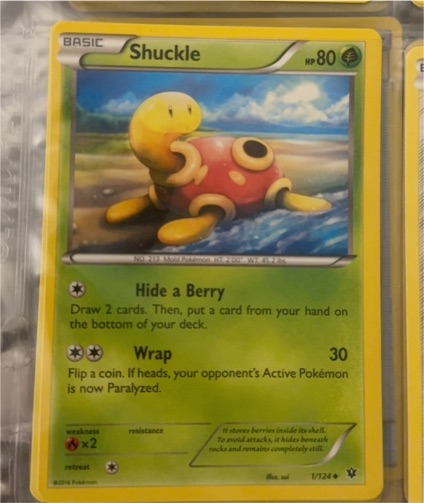 2016 Pokémon XY Fates Collide #1 Shuckle — front