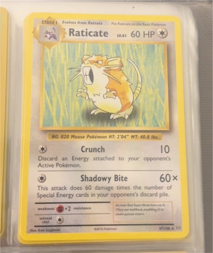 2016 Pokémon XY Evolutions #67 Raticate — front