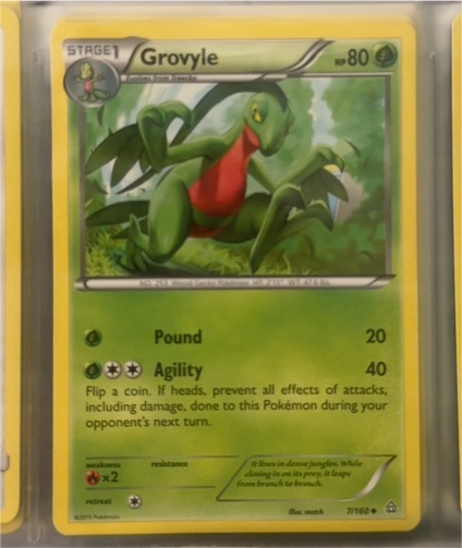 2015 Pokémon XY Primal Clash #7 Grovyle — front