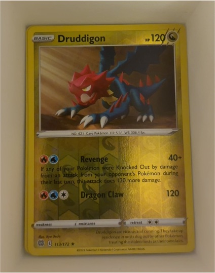 2022 Pokémon Brilliant Stars #113 Druddigon — front