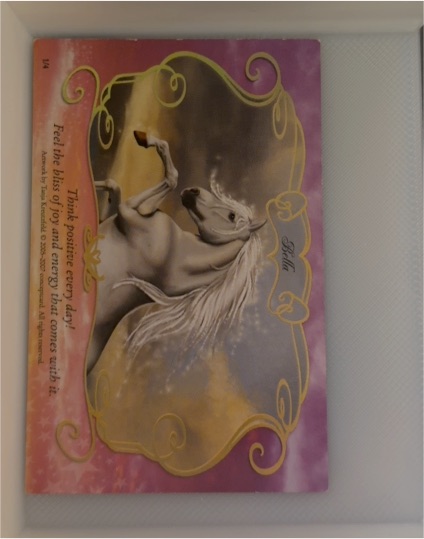 2006 Bella Sara #M1 Bella — front