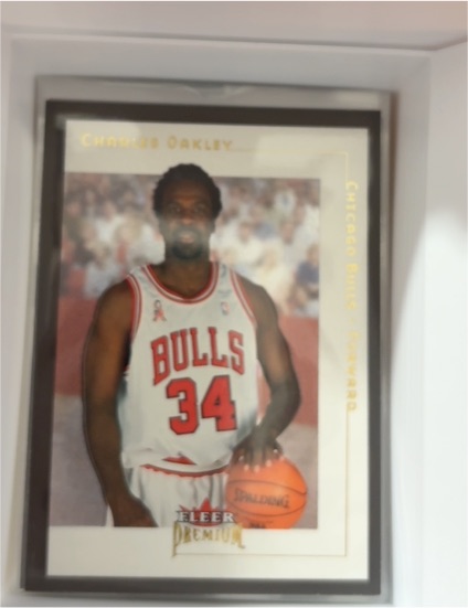 2001-02 Fleer Premium #73 Charles Oakley — front