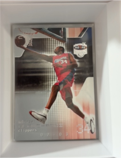 2002-03 Upper Deck #60 Elton Brand — front