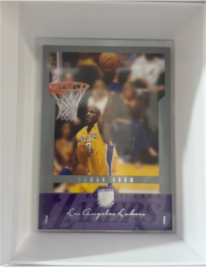 2004-05 SkyBox LE #24 Lamar Odom — front
