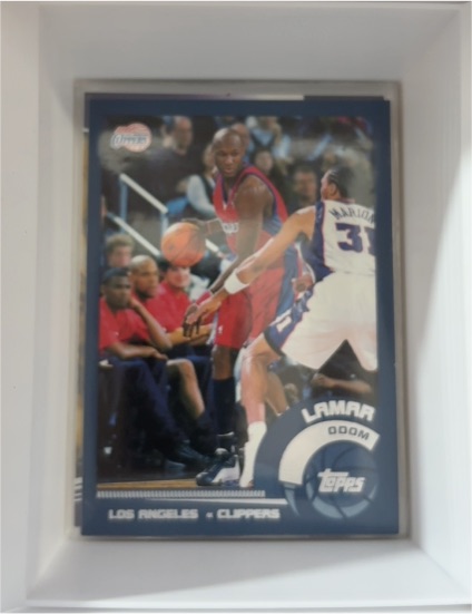 2002-03 Topps #169 Lamar Odom — front