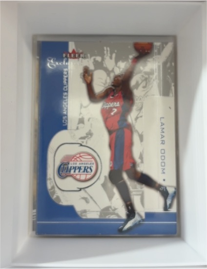 2001-02 Fleer Exclusive #49 Lamar Odom — front