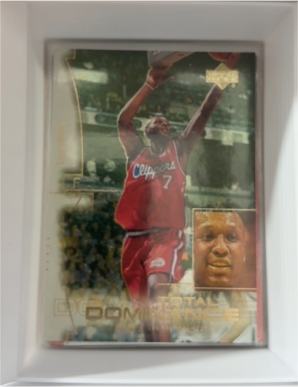 2000-01 Upper Deck Total Dominance #TD9 Lamar Odom — front