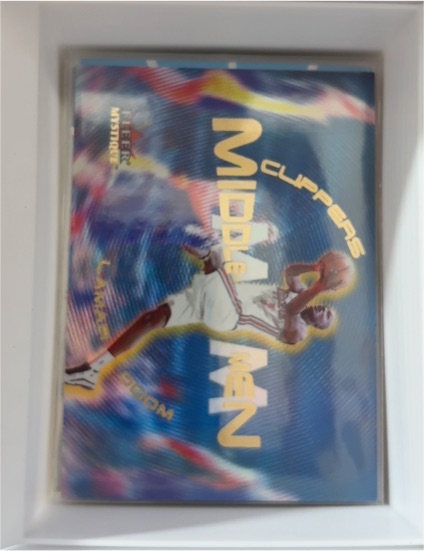 2000-01 Fleer Mystique #10 Lamar Odom Middle Men — front