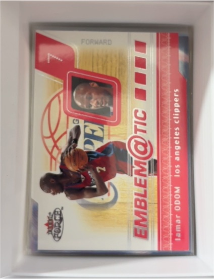 2001-02 Fleer Force Emblematic #4E Lamar Odom — front