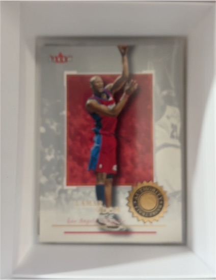 2004-05 SkyBox Fresh Ink #15 Ben Wallace — front