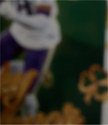 Cris Carter Minnesota Vikings Autographed Signed 8x10 Photo — front