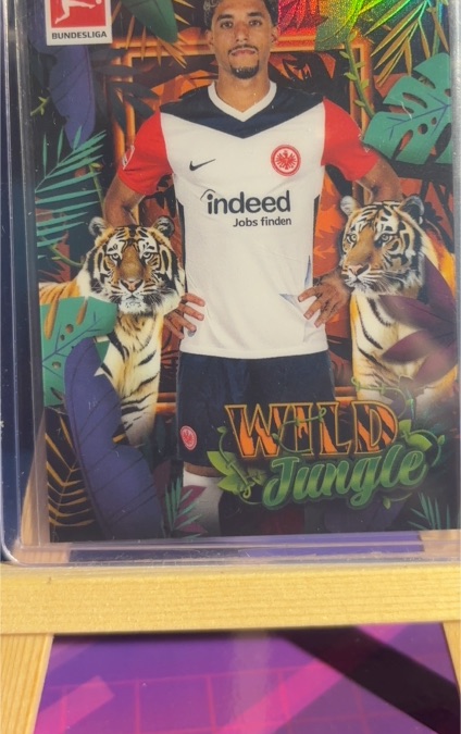 2024-25 Topps Chrome Bundesliga #WJ-4 Jonas Wind Wild Jungle Tiger — front