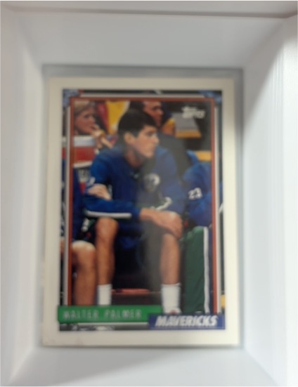 1992 Topps #246 Walter Palmer — front
