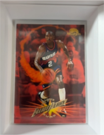 1995-96 Skybox Premium #196 Elliot Perry — front