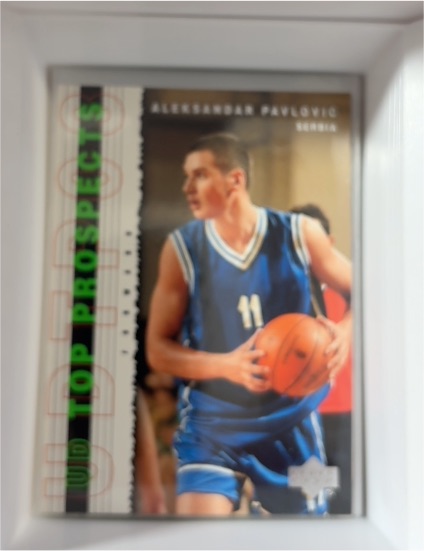 2003-04 Upper Deck Top Prospects #21 Aleksandar Pavlovic — front