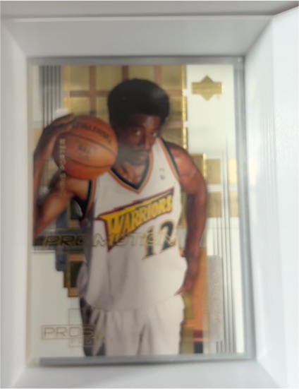 2000-01 Upper Deck Pros & Prospects ProMotion #PM9 Chris Porter — front