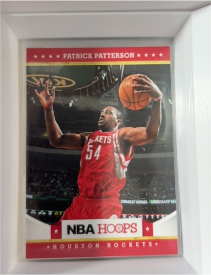 2012-13 Panini NBA Hoops #49 Patrick Patterson — front