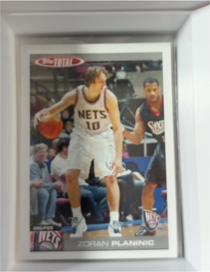 2004-05 Topps Total #199 Zoran Planinic — front