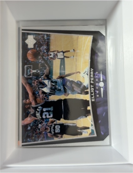 1998-99 Upper Deck #88 Elliot Perry — front