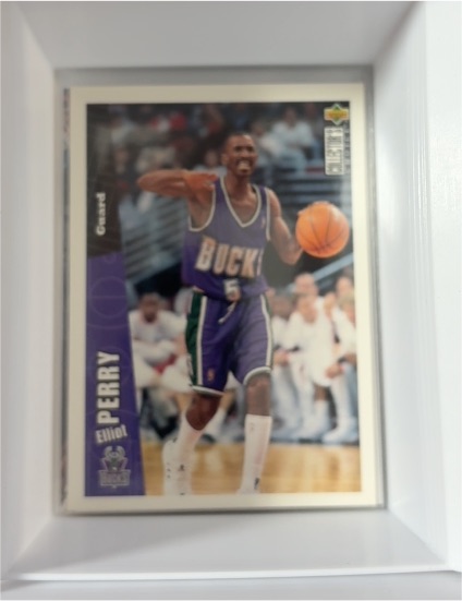 1996-97 Upper Deck Collector's Choice #279 Elliot Perry — front