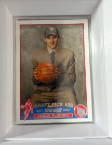 2003-04 Topps #242 Zoran Planinic — front