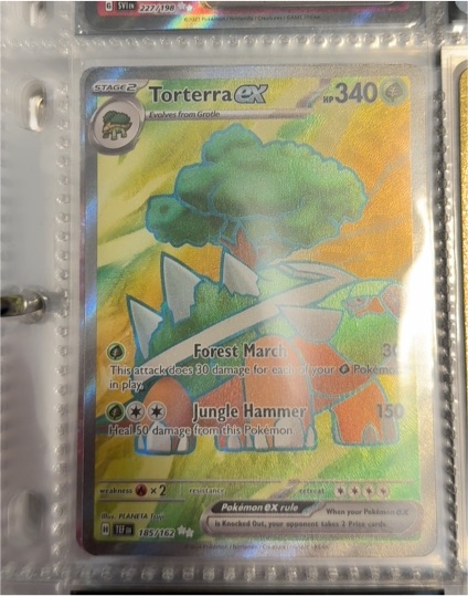 2024 Pokémon SV05: Temporal Forces #185 Torterra ex — front