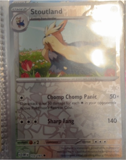 2023 Pokémon Scarlet & Violet: Obsidian Flames #172 Stoutland — front