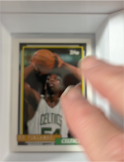 1992-93 Topps Gold #231 Ed Pinckney — front