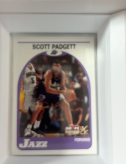 1999-00 Hoops Decade #76 Scott Padgett — front