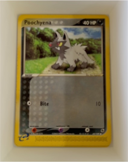 2003 Ruby & Sapphire #63 Poochyena — front