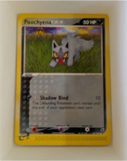 2003 Pokemon EX Ruby & Sapphire #65 Poochyena — front