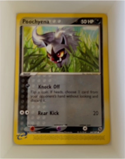 2003 Pokemon EX Ruby & Sapphire #64 Poochyena — front