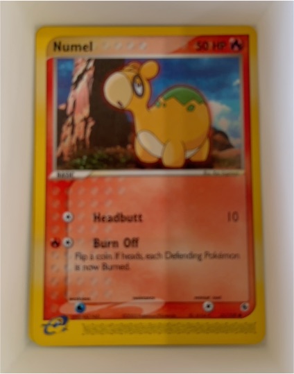 2003 Nintendo Pokémon EX Ruby & Sapphire #61 Numel — front