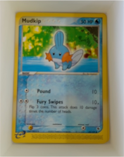 2003 Pokémon EX Ruby & Sapphire #60 Mudkip — front