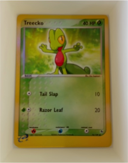 2003 Pokémon Ruby & Sapphire #76 Treecko — front
