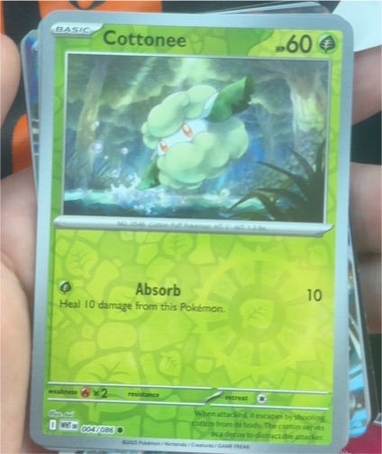2022 Pokémon SV: White Flare #004 Cottonee — front