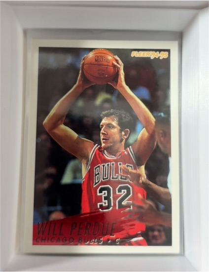 1993-94 Fleer #31 Will Perdue — front