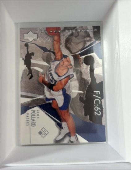 2003-04 Upper Deck Black Diamond #51 Scot Pollard — front