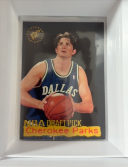 1995-96 Topps Stadium Club NBA Draft Pick #12 Cherokee Parks — front