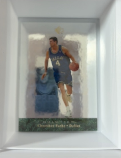 1996-97 Upper Deck SP Premium Collection #8 Cherokee Parks — front